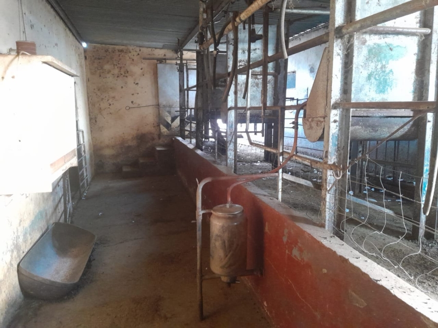  Bedroom Property for Sale in Bloemhof North West